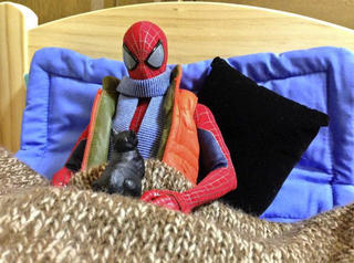 Illustration for article titled Spider-Man Shows His Sensitive Side with Cats